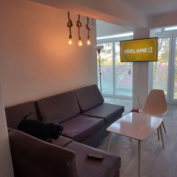 Lovely 1- Bedroom Condo Close To Downtown سكوبجي المظهر الخارجي الصورة